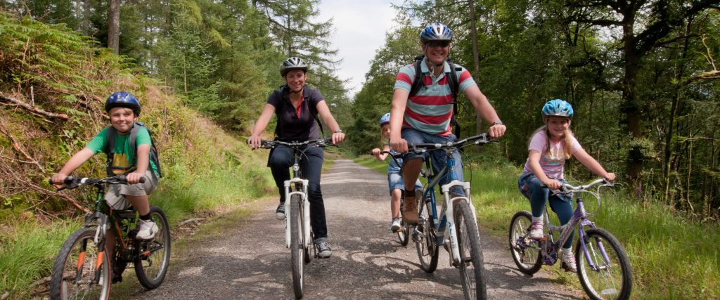 bedgebury pinetum cycling